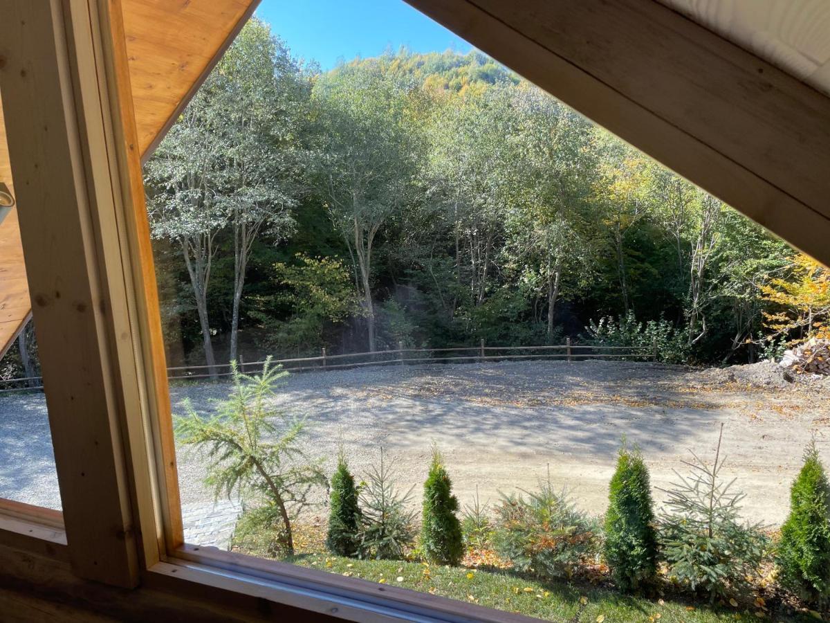 Cabana Din Groapa Frumoasa Rîşnov Exterior foto